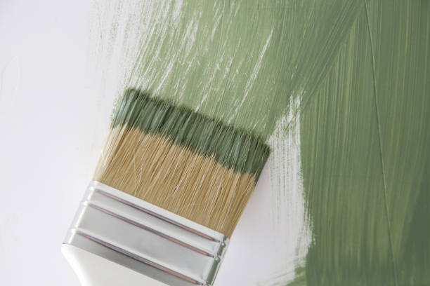  Elgin, SC Mold Removal Pros